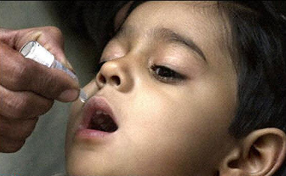کمبود واکسن فلج اطفال و هاری در اصفهان