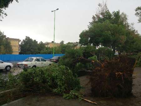 حوادث باد و باران در اصفهان