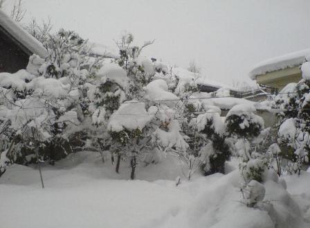 تعطیلی مدارس برزک، نیاسر و جوشقان قالی کاشان بعلت بارش برف