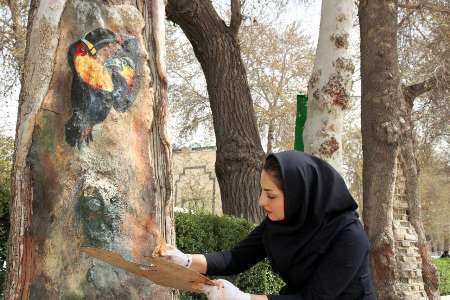آراستگی تنه درختان شهر اصفهان 