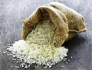 رد دوباره آلودگی برنجهای وارداتی