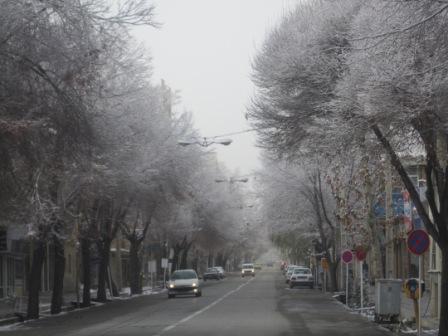 بارش برف در شهر گلپایگان اصفهان