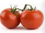 گوجه فرنگی دنیایی متنوع از مواد ارزشمند